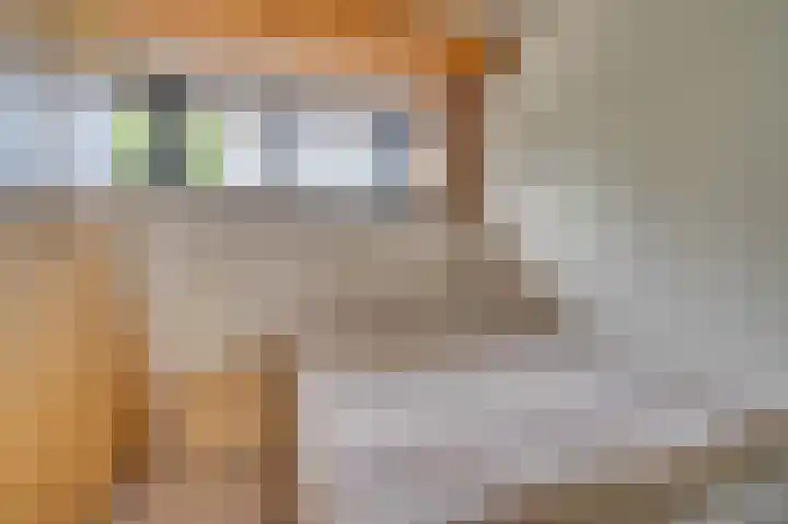 Regenboog 9 Venlo thumbnail 28
