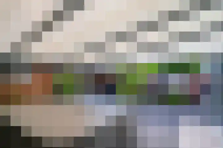 Regenboog 9 Venlo thumbnail 36