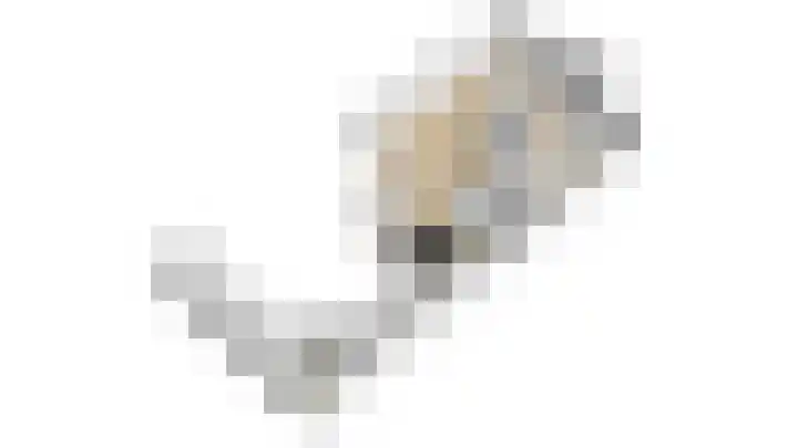 Regenboog 9 Venlo thumbnail 45