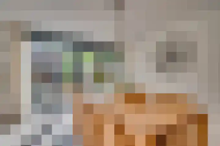 Regenboog 9 Venlo thumbnail 9