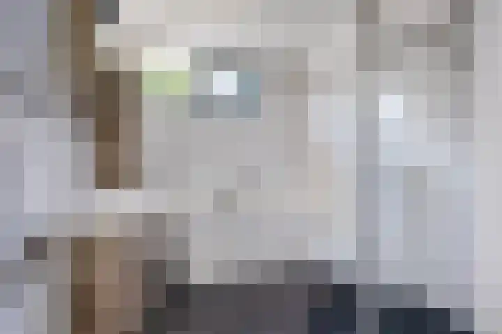 Regenboog 9 Vinkeveen thumbnail 17
