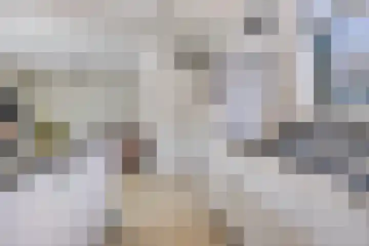 Regenboog 9 Vinkeveen thumbnail 5