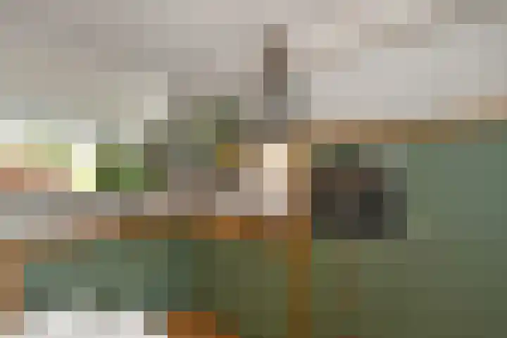 Regenboog 91 Elst thumbnail 12
