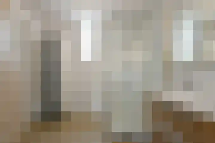 Regenboog 91 Elst thumbnail 19