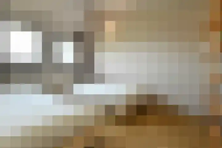 Regenboog 91 Elst thumbnail 27