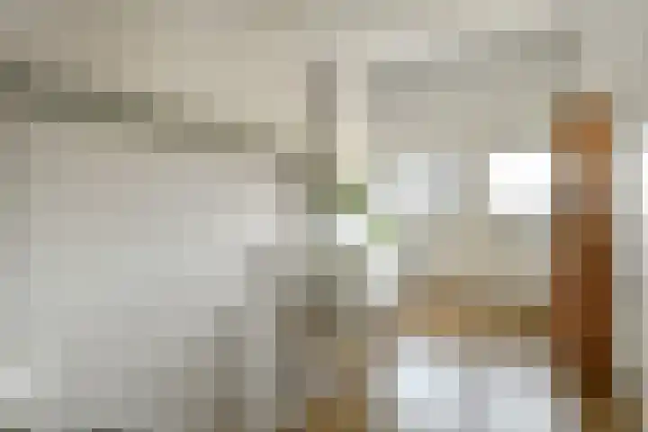 Regenboog 91 Elst thumbnail 28