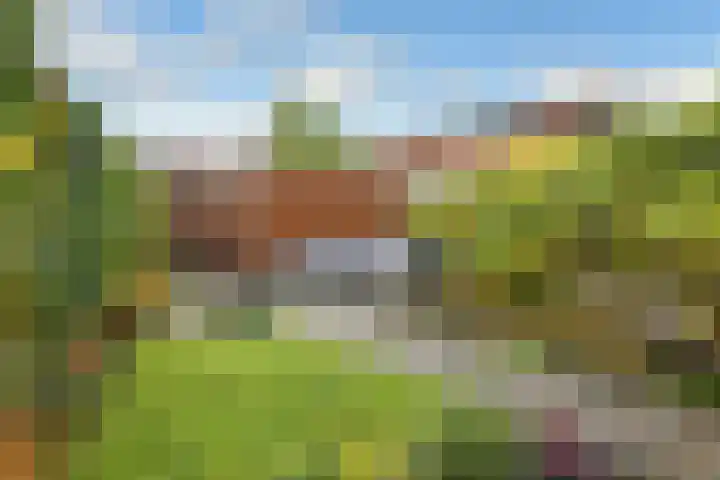 Regenboog 91 Elst thumbnail 30
