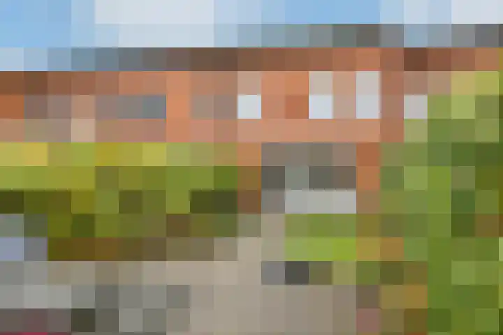 Regenboog 91 Elst thumbnail 31