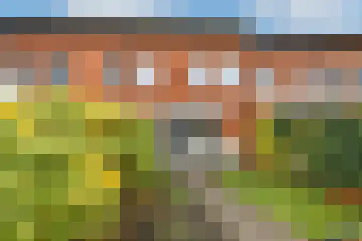 Regenboog 91 Elst thumbnail 33