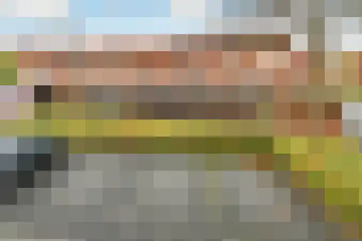 Regenboog 91 Elst thumbnail 35