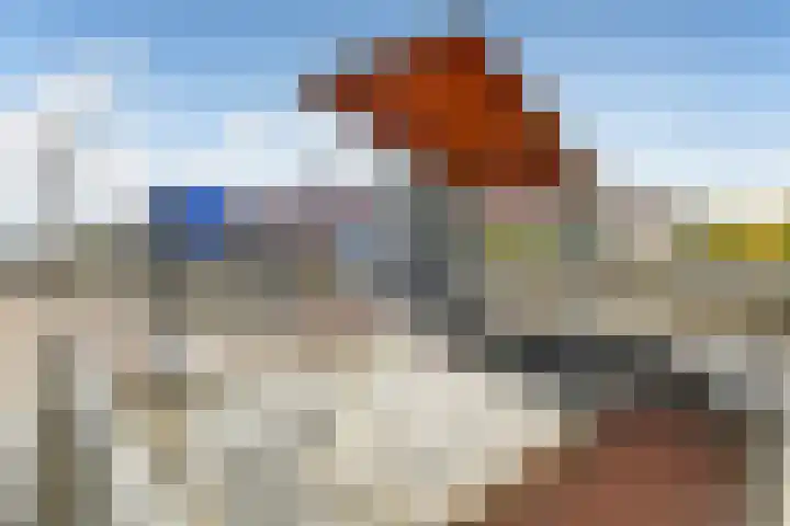 Regenboog 91 Elst thumbnail 38