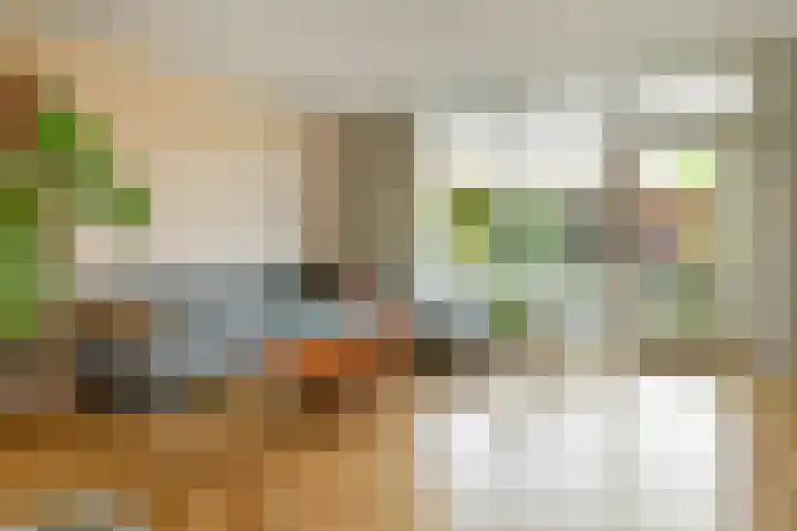 Regenboog 91 Elst thumbnail 6