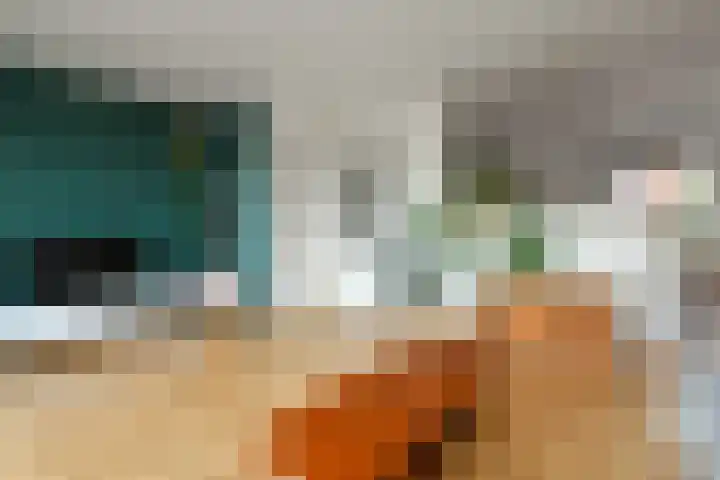 Regenboog 91 Elst thumbnail 9