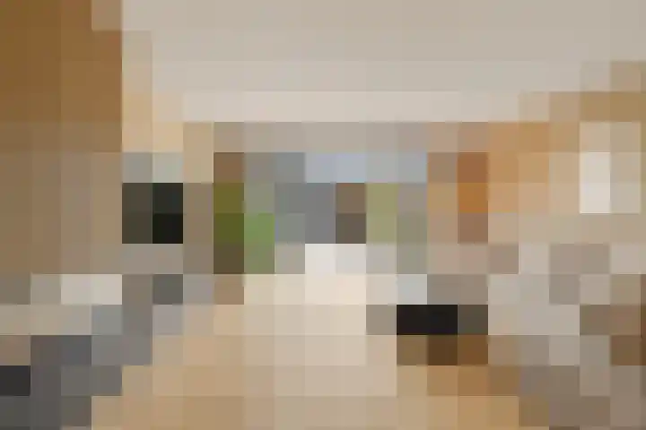 Regenboogforel 16 Waddinxveen thumbnail 10
