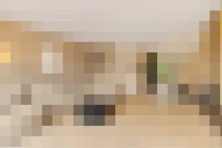 Regenboogforel 16 Waddinxveen thumbnail 11