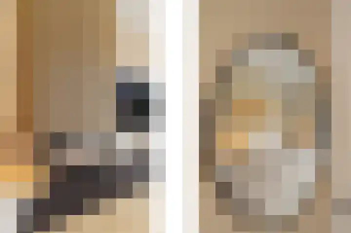 Regenboogforel 16 Waddinxveen thumbnail 12