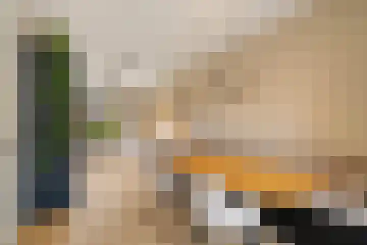 Regenboogforel 16 Waddinxveen thumbnail 13