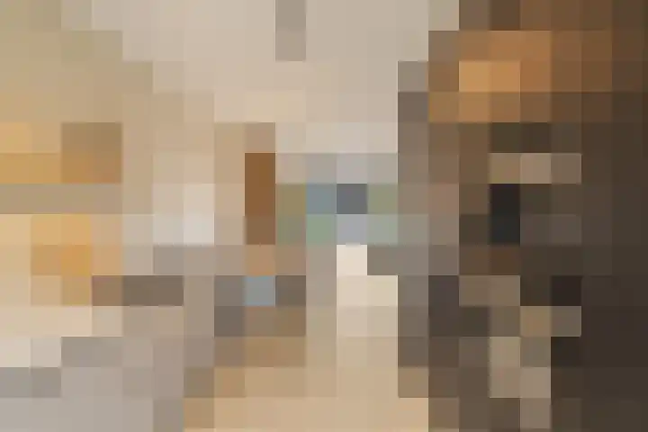 Regenboogforel 16 Waddinxveen thumbnail 16