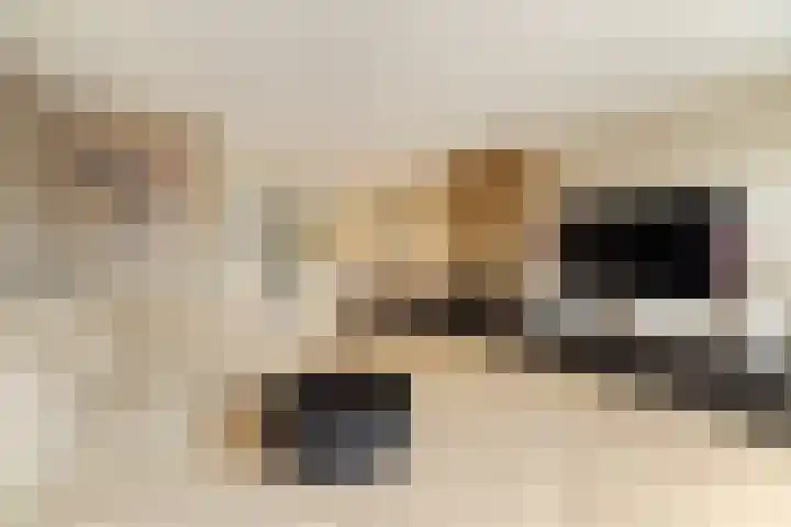 Regenboogforel 16 Waddinxveen thumbnail 17
