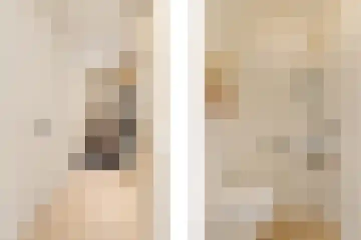 Regenboogforel 16 Waddinxveen thumbnail 18