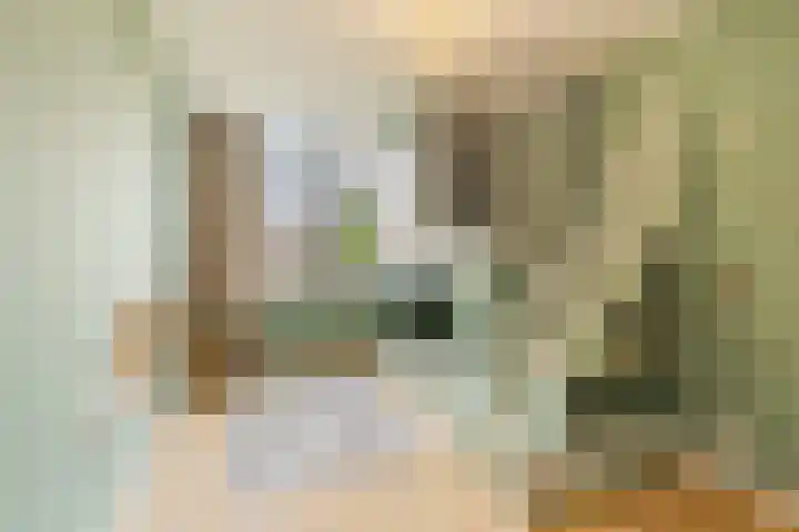 Regenboogforel 16 Waddinxveen thumbnail 21