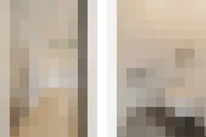 Regenboogforel 16 Waddinxveen thumbnail 24