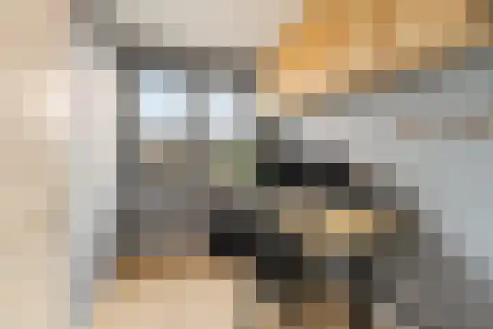 Regenboogforel 16 Waddinxveen thumbnail 25