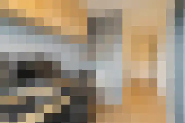 Regenboogforel 16 Waddinxveen thumbnail 26