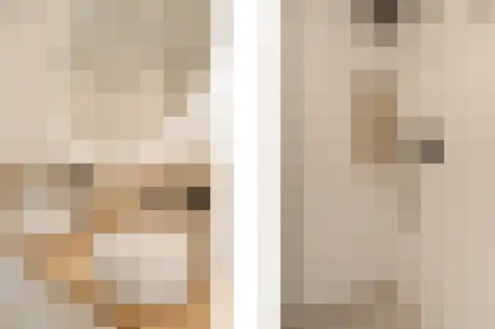 Regenboogforel 16 Waddinxveen thumbnail 28