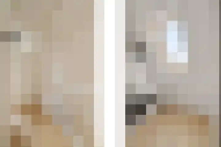 Regenboogforel 16 Waddinxveen thumbnail 30