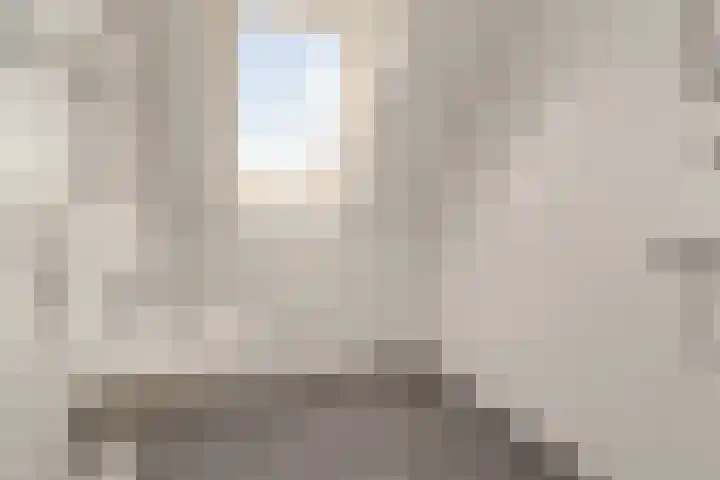 Regenboogforel 16 Waddinxveen thumbnail 35
