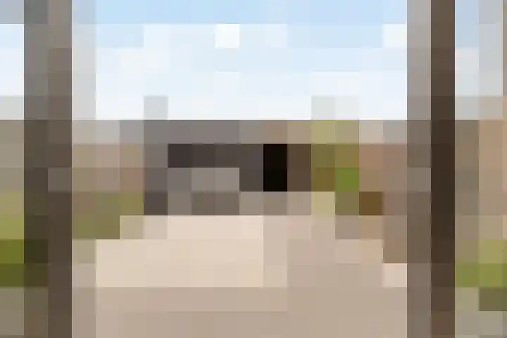 Regenboogforel 16 Waddinxveen thumbnail 37