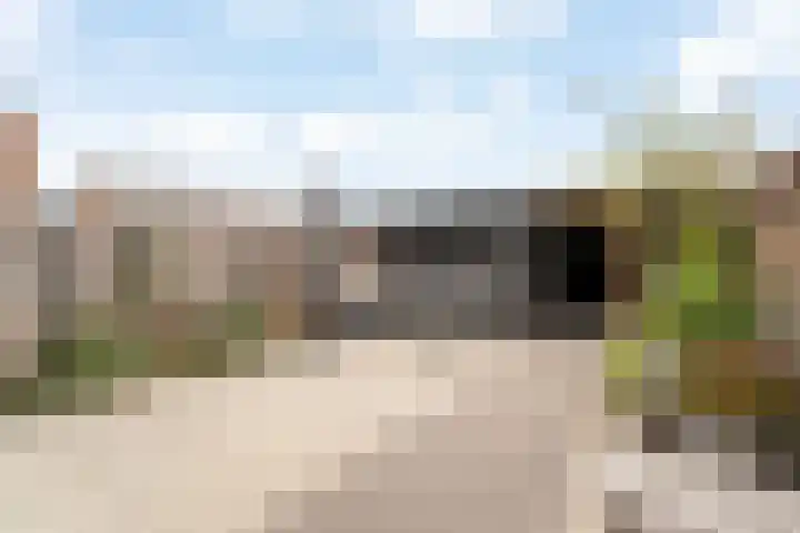 Regenboogforel 16 Waddinxveen thumbnail 38