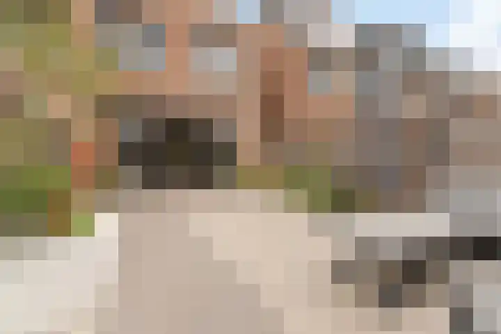 Regenboogforel 16 Waddinxveen thumbnail 39