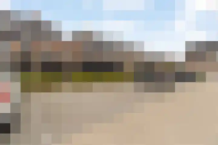 Regenboogforel 16 Waddinxveen thumbnail 40