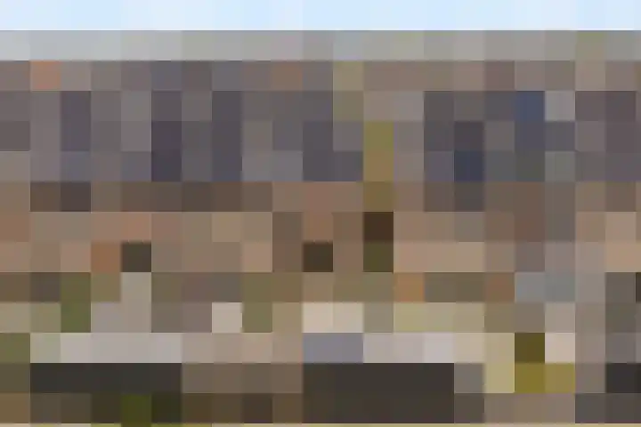 Regenboogforel 16 Waddinxveen thumbnail 41