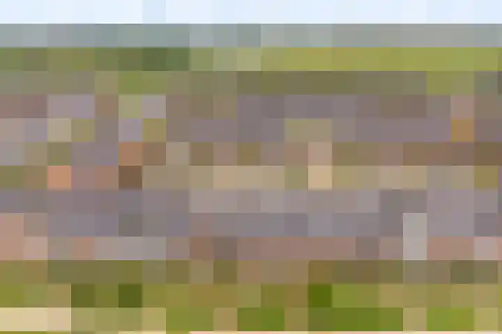 Regenboogforel 16 Waddinxveen thumbnail 42
