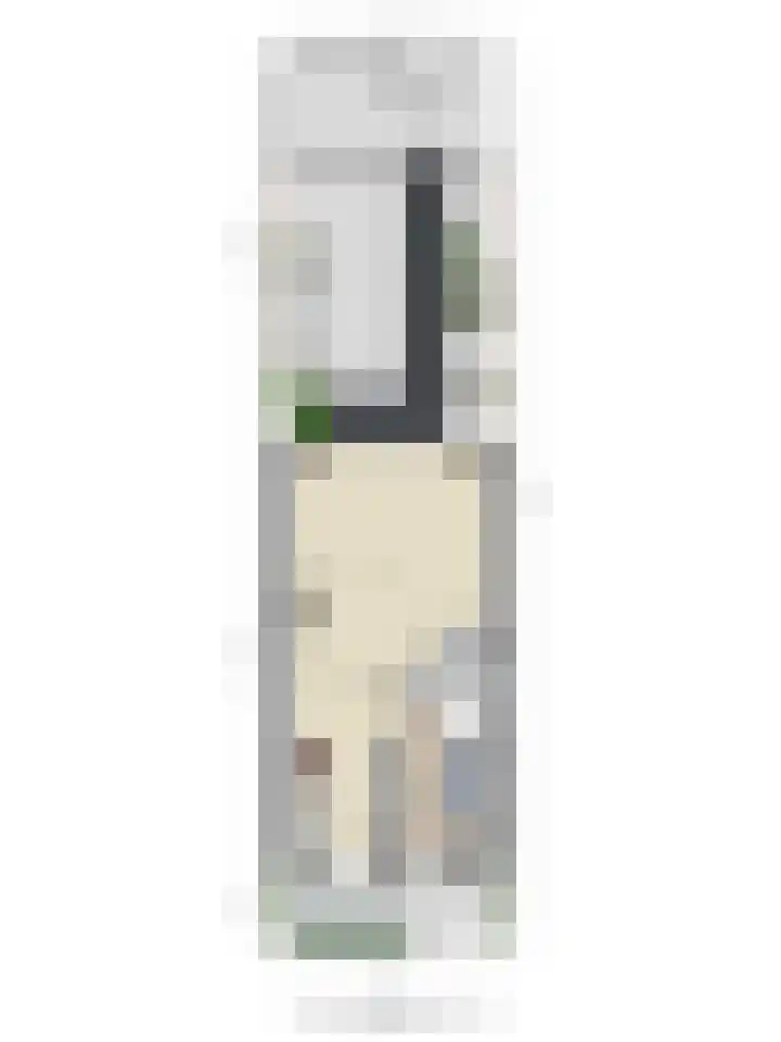 Regenboogforel 16 Waddinxveen thumbnail 44