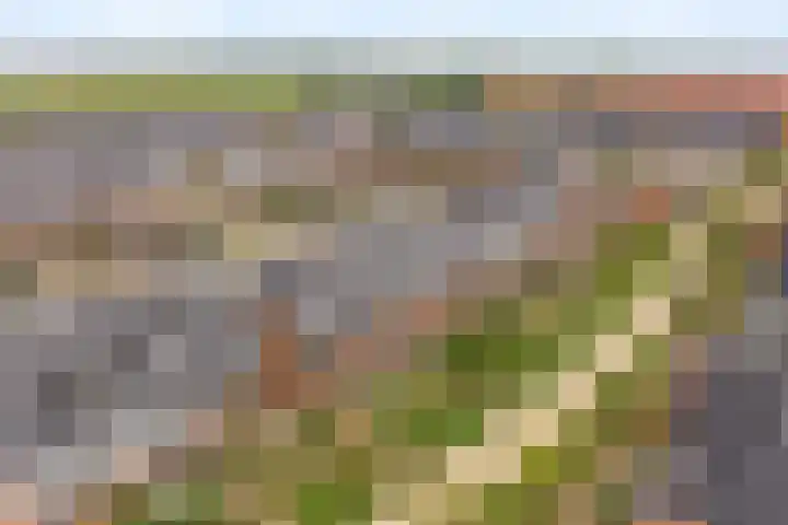 Regenboogforel 16 Waddinxveen thumbnail 5