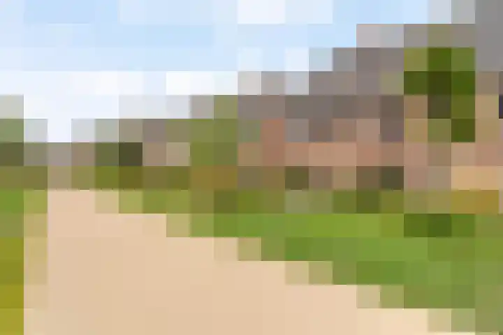 Regenboogforel 16 Waddinxveen thumbnail 50