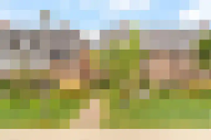 Regenboogforel 16 Waddinxveen thumbnail 6