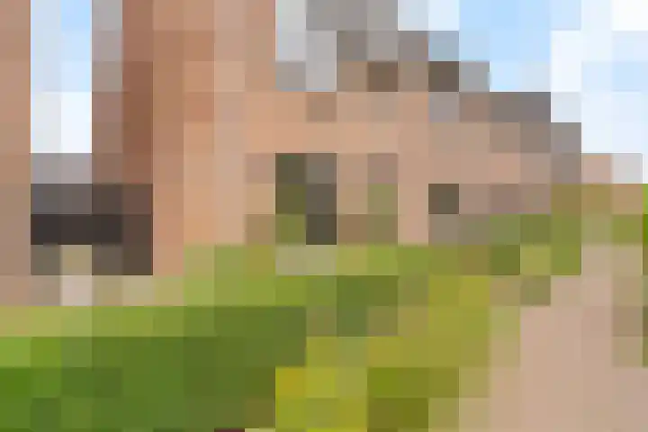 Regenboogforel 16 Waddinxveen thumbnail 7