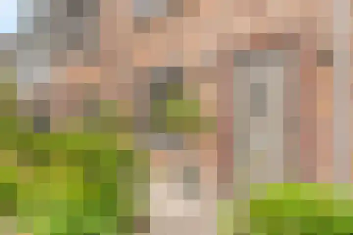 Regenboogforel 16 Waddinxveen thumbnail 8