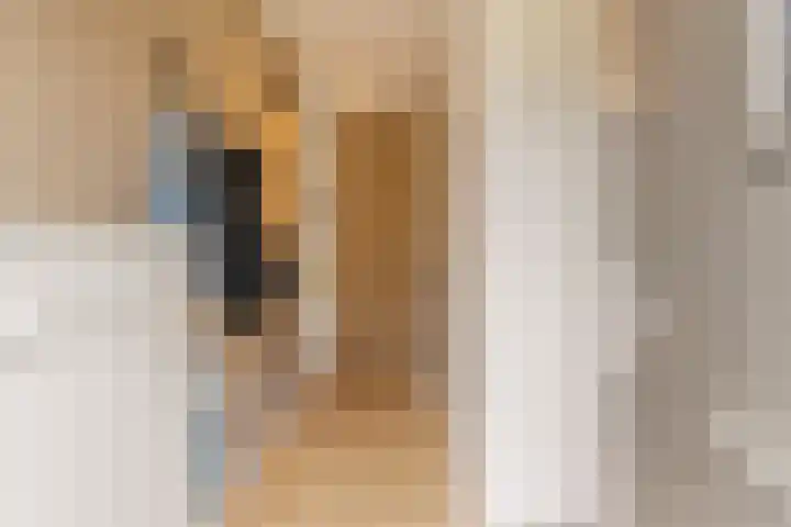 Regenboogforel 16 Waddinxveen thumbnail 9