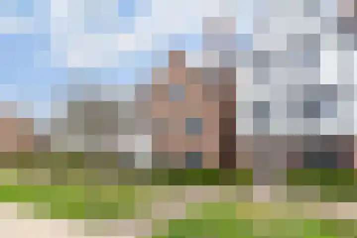 Regenboogforel 21 Waddinxveen