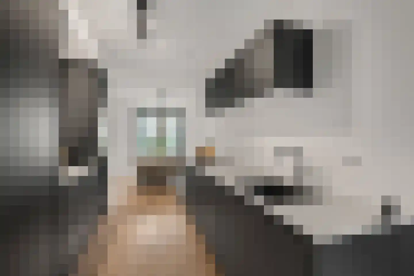 Regenboogforel 21 Waddinxveen thumbnail 10