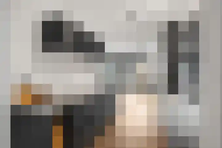 Regenboogforel 21 Waddinxveen thumbnail 13