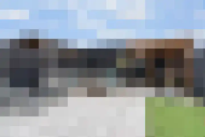 Regenboogforel 21 Waddinxveen thumbnail 15