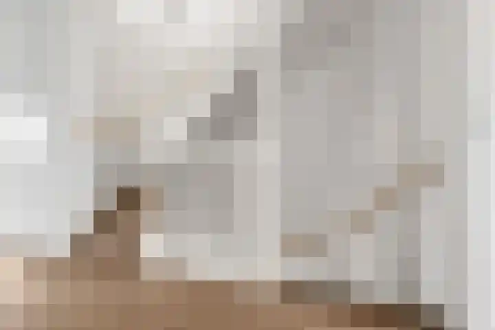 Regenboogforel 21 Waddinxveen thumbnail 17
