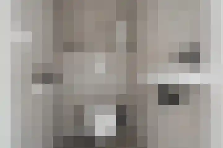 Regenboogforel 21 Waddinxveen thumbnail 18